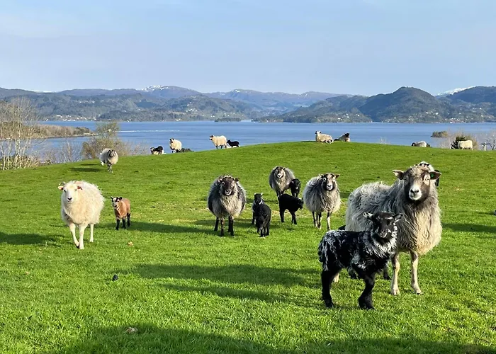 Hyggelig Gard Naer Bergen Med Spabad Сasa de vacaciones