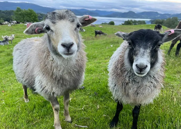 Hyggelig Gard Naer Bergen Med Spabad Сasa de vacaciones *