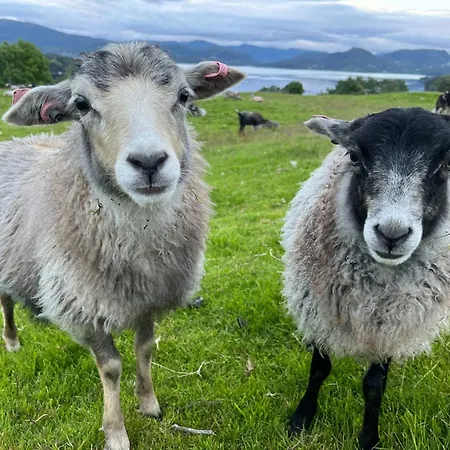 Hyggelig Gard Naer Bergen Med Spabad *