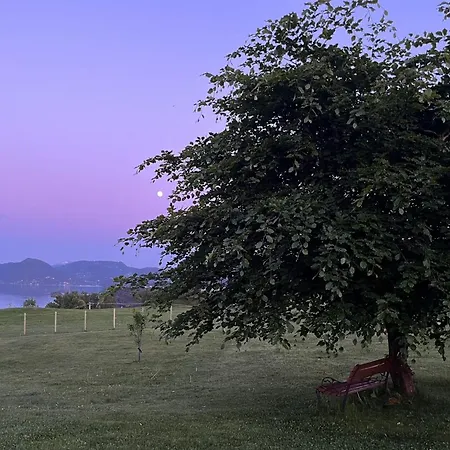 Hyggelig Gard Naer Bergen Med Spabad * Hjelmas