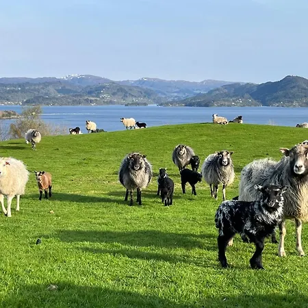 Hyggelig Gard Naer Bergen Med Spabad Hébergement de vacances *